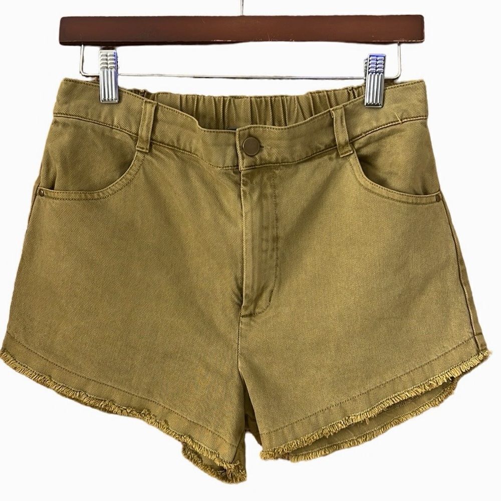 Young Fabulous & Broke YFB Cali Shorts Green Dolphin Frayed Hem, Medium